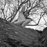 Chris Marsay 