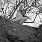 Chris Marsay 