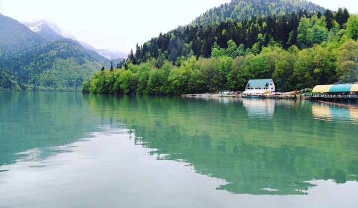 Marina Zheltaya