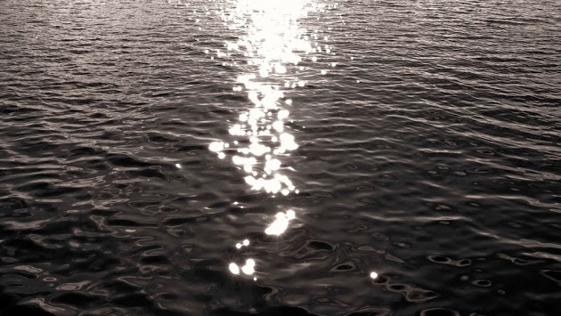 David Lake