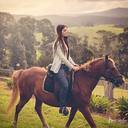 My horse Bailey<br />Photographer; Brett Ritchie