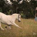 I taught him that!<br />Photographer; Brett Ritchie