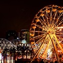 The City